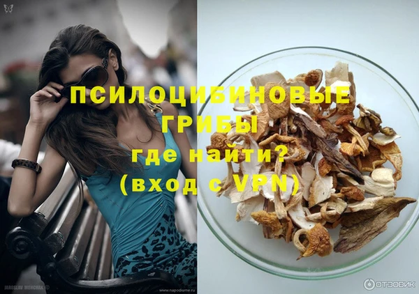гашик Балахна