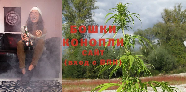 ПСИЛОЦИБИНОВЫЕ ГРИБЫ Баксан