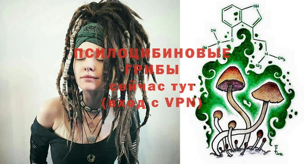 гашик Балахна