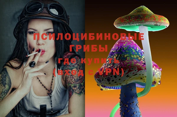 spice Зеленодольск