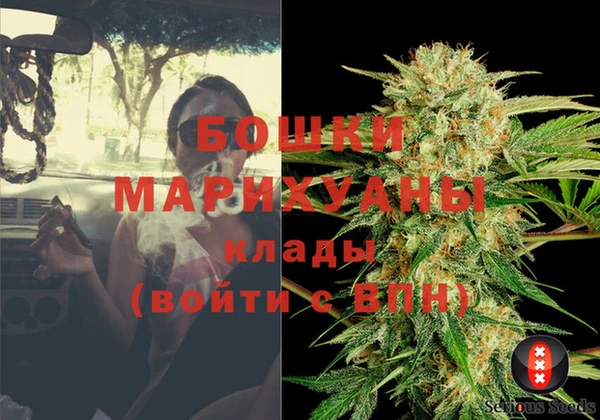 ПСИЛОЦИБИНОВЫЕ ГРИБЫ Баксан