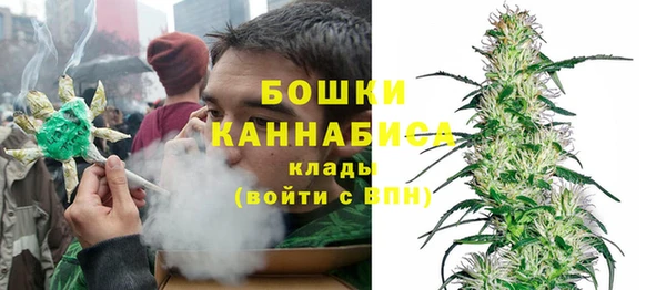 ПСИЛОЦИБИНОВЫЕ ГРИБЫ Баксан