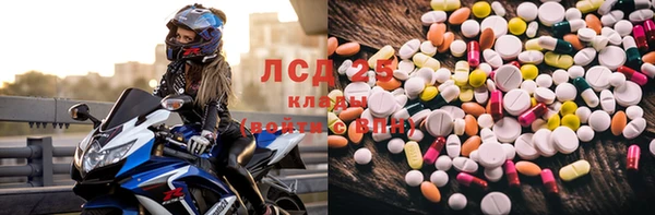 гашик Балахна