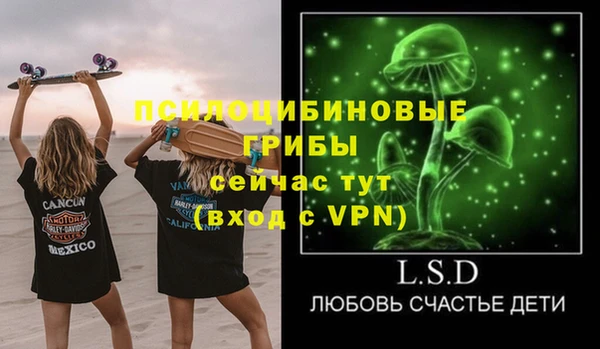 гашик Балахна