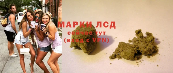 гашик Балахна